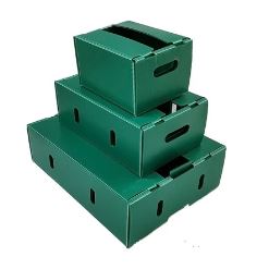 PP corrugated box for agricutural products