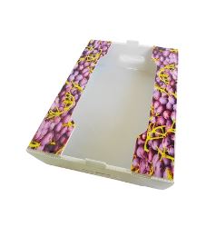 PP corrugated box for agricutural products