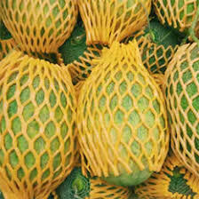 Fruit foam nets