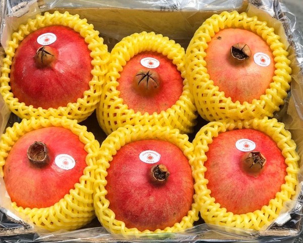 Fruit foam nets