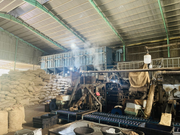 Cashew Factory