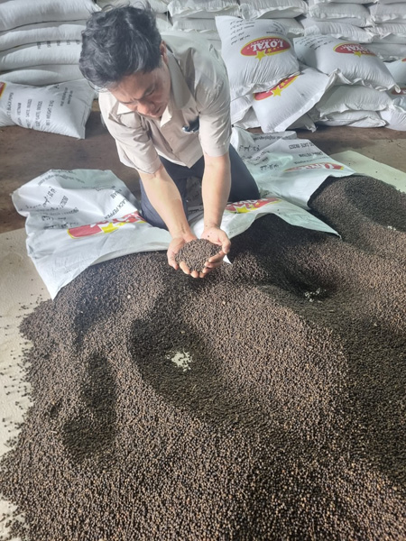 Pepper Factory