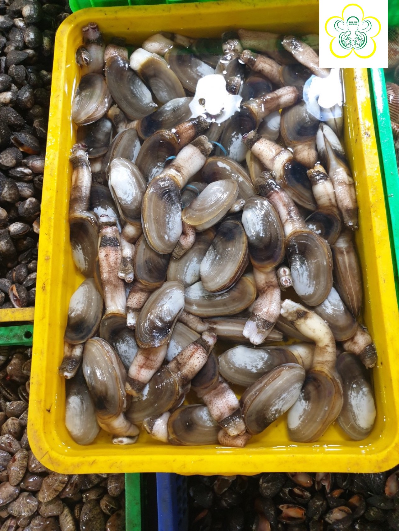 Fish and Seafood