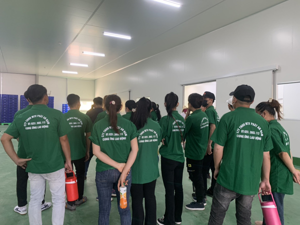 Labor supply service