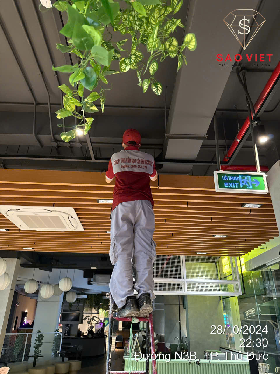 Pest control service