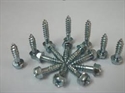 Screw