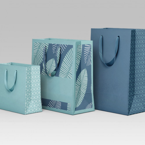Art paper bag
