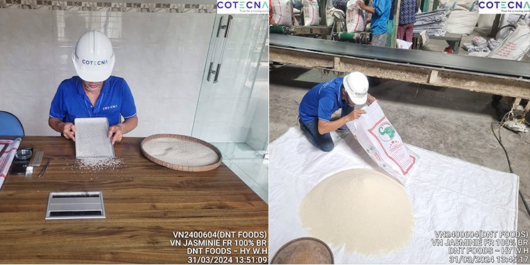 Rice quality and specifications inspection