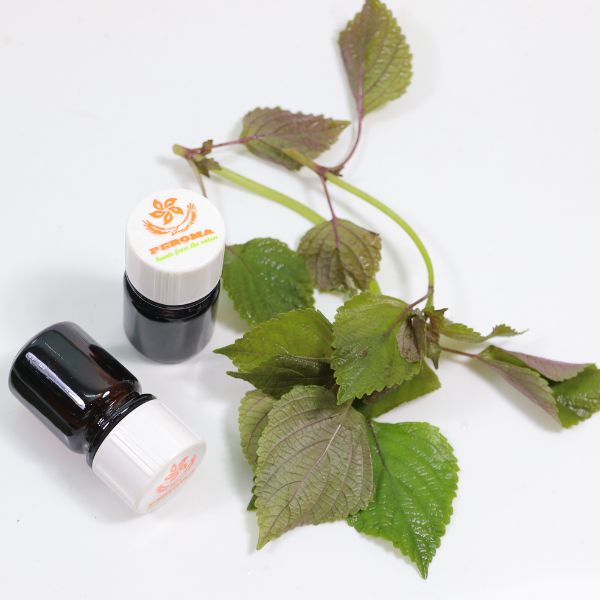 Perilla essential oil