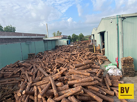 Vietnamese acacia and pine sawn timber