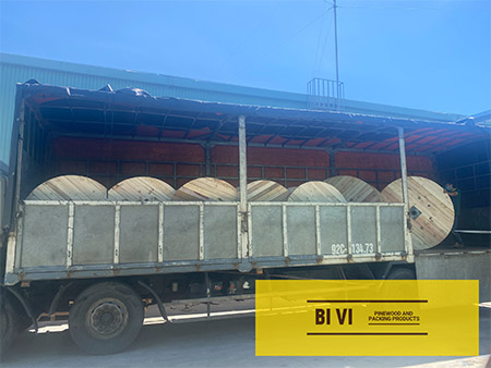 BI VI Delivery image