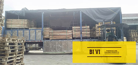 BI VI Delivery image