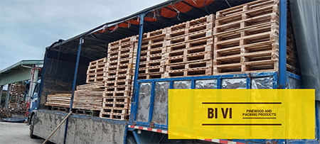 BI VI Delivery image