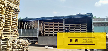 BI VI Delivery image