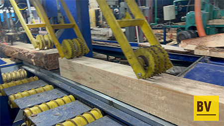 Vietnamese acacia and pine sawn timber