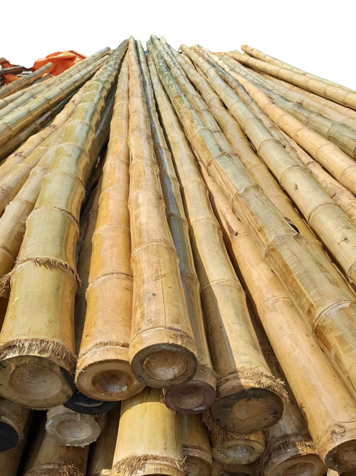 Bamboo pole