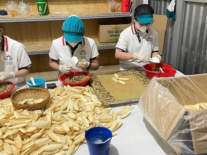 Blue Lotus company image