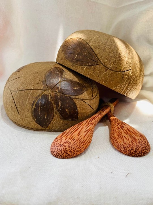 Coconut shell bowl