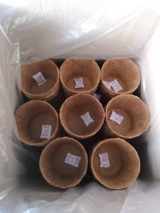 Coir pot