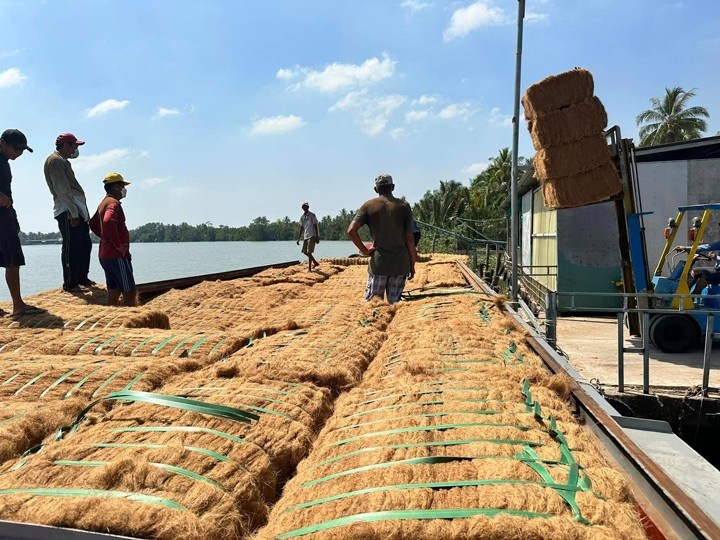 Coir husk fiber