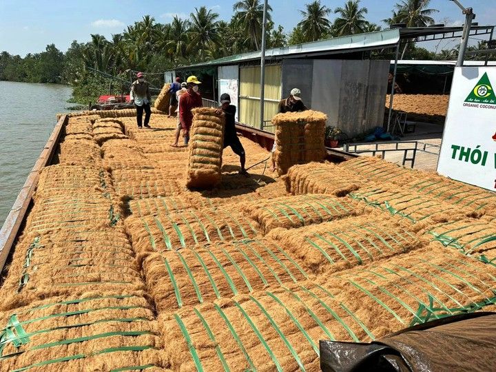 Coir husk fiber
