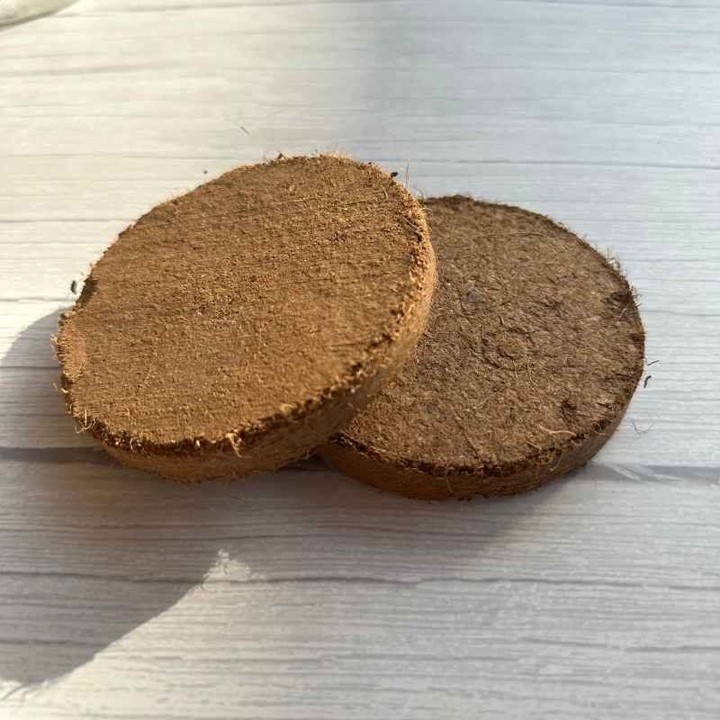 Coir planting disc