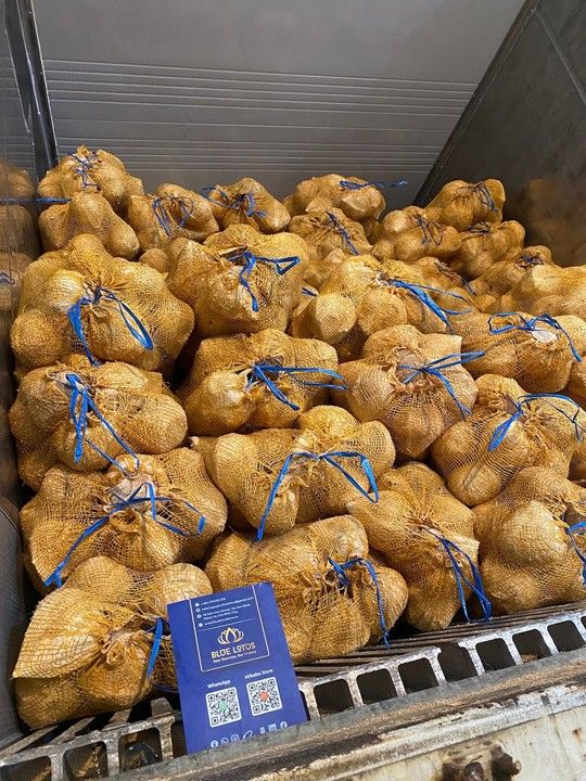 Semi-husked dried coconut