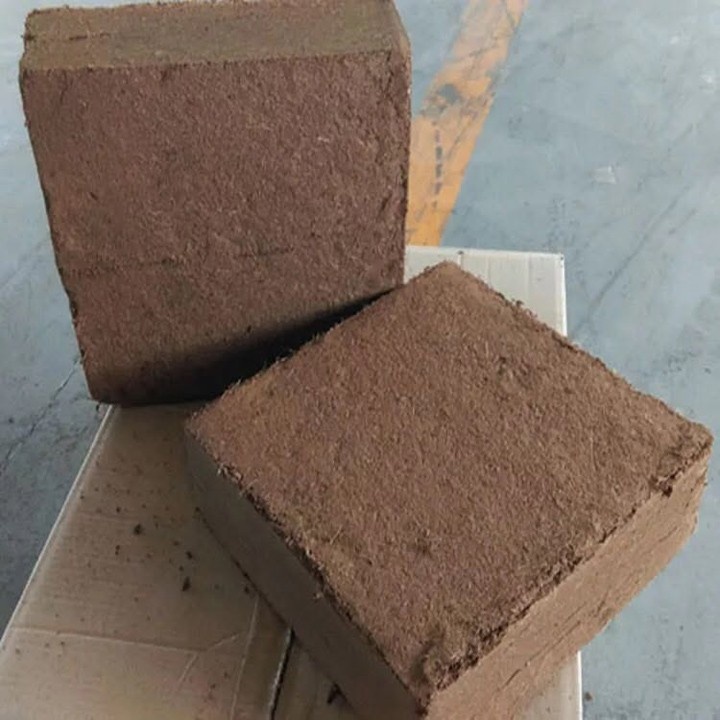 5kg coco peat block