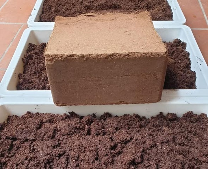 5kg coco peat block