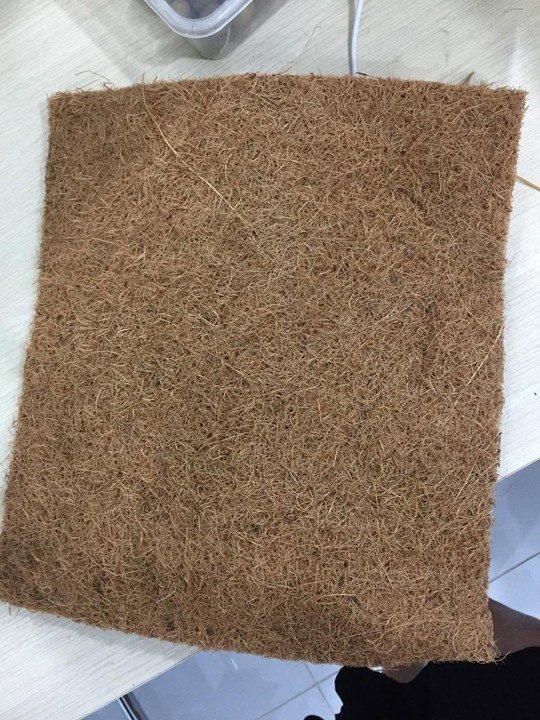 Coir mattress