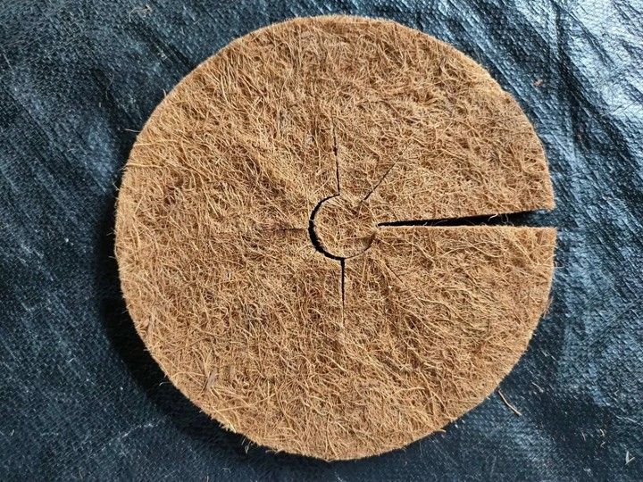 Coir mulch