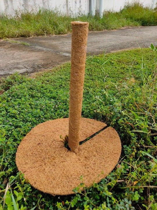 Coir mulch