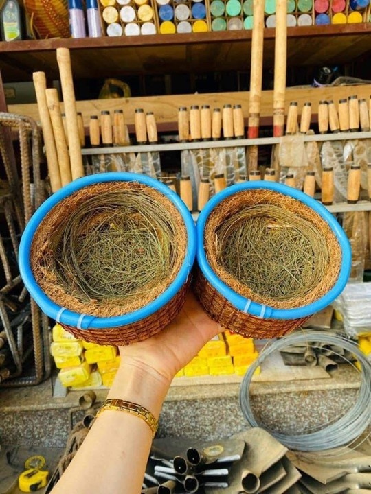 Coir bird nest