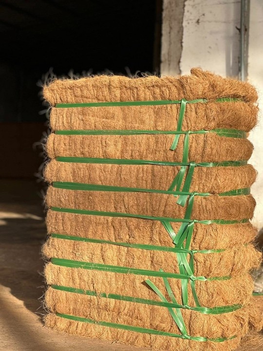 Raw coir fiber