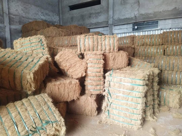 Raw coir fiber