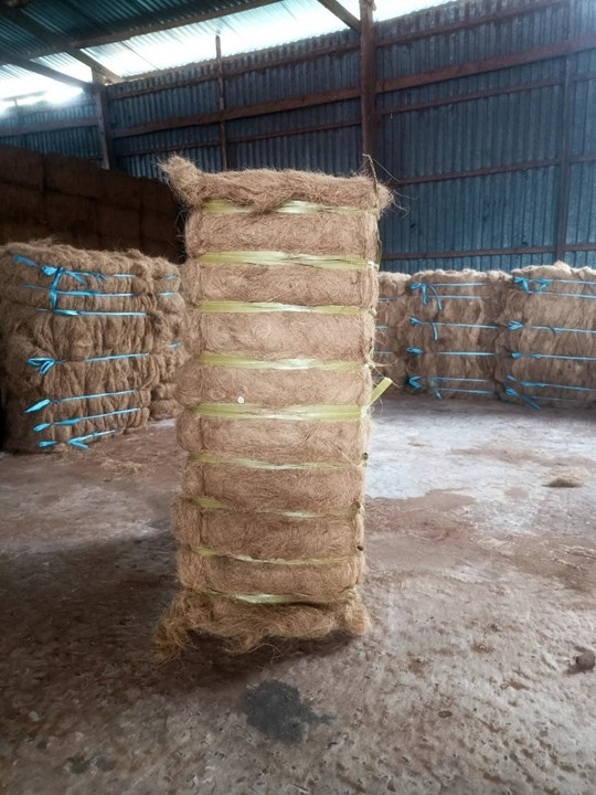 Raw coir fiber