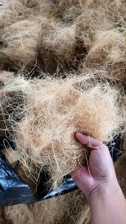 Raw coir fiber