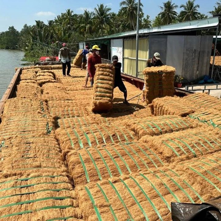 Raw coir fiber