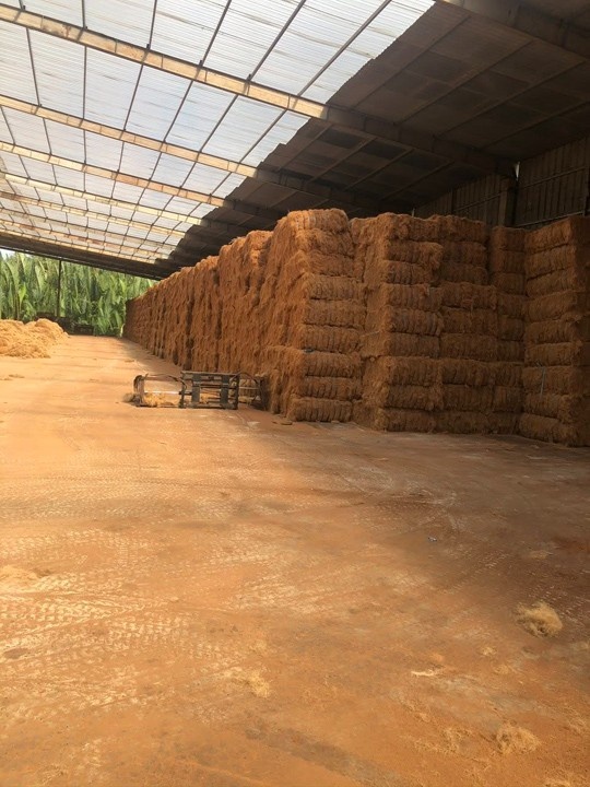 Raw coir fiber