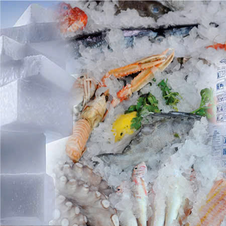 Seafood preservation