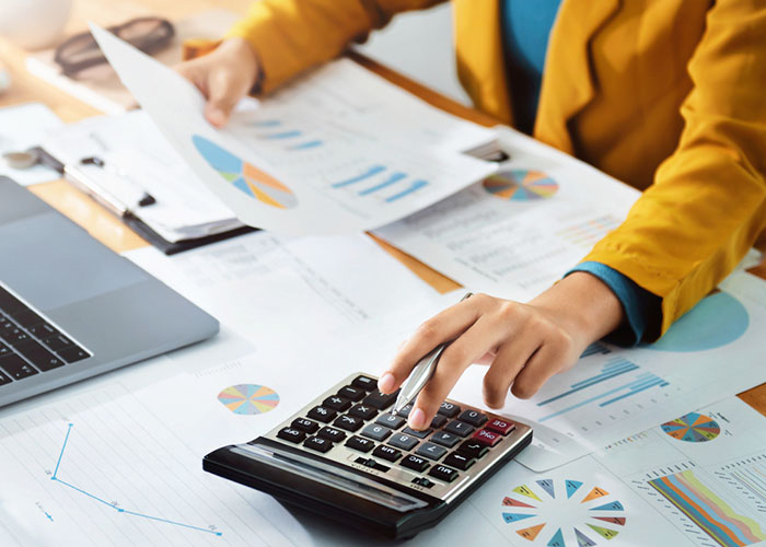 Monthly accounting services