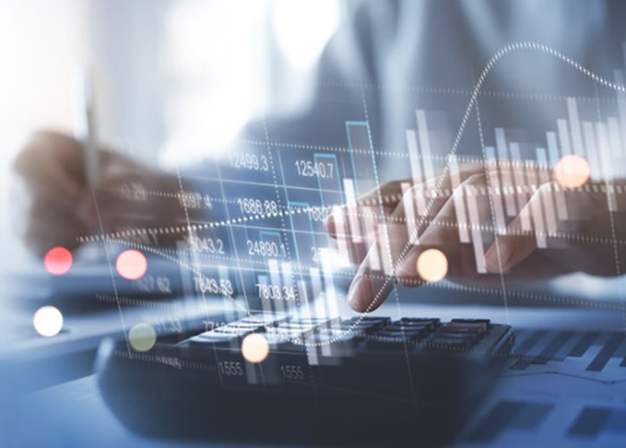 Auditing ervices