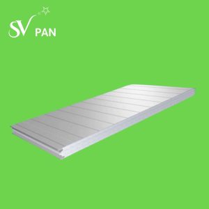 EPS panel