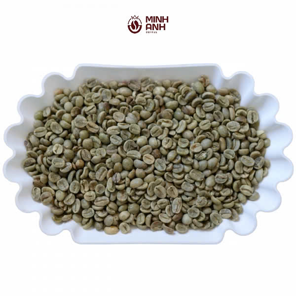 Arabica Screen 16 (Fully Washed)