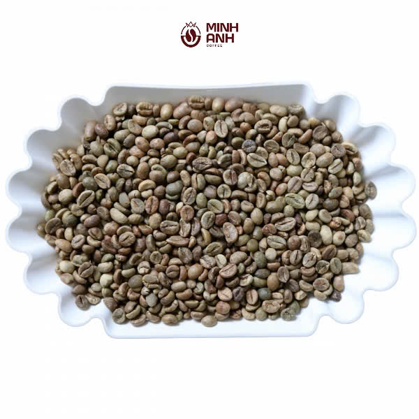 Robusta Screen 16 Cleaned