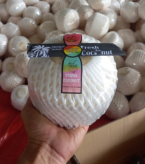 Easy open coconut