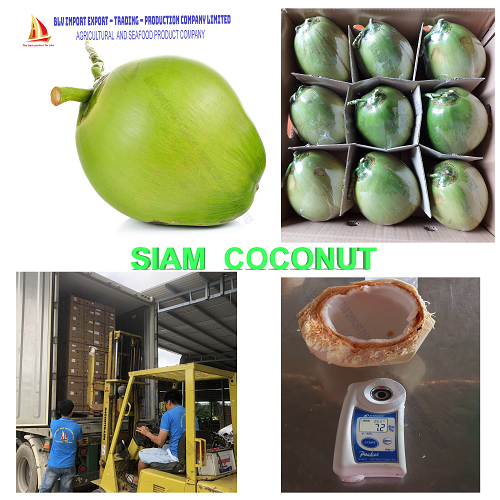 Siam coconut