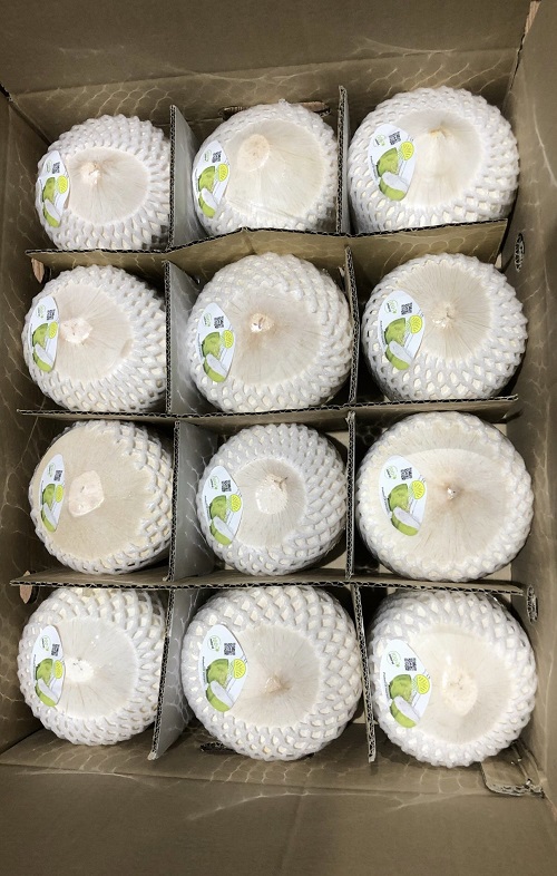 BLV coconut