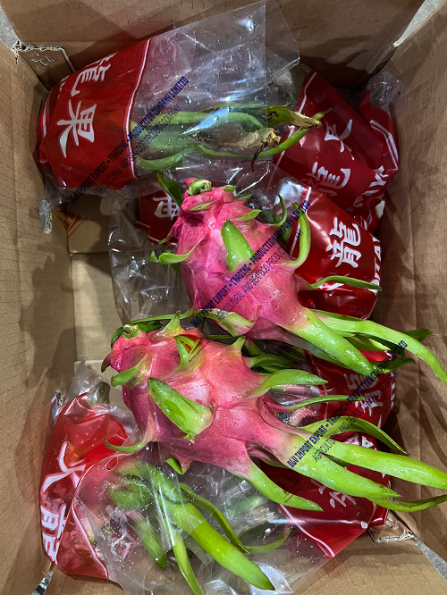 Dragon fruit