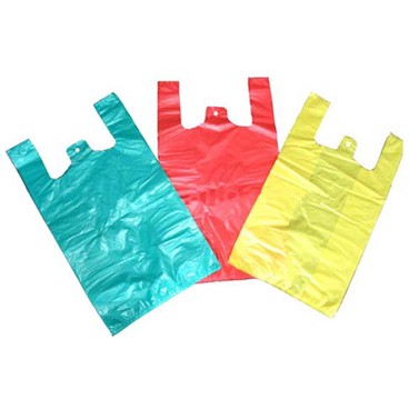 PE bag with 2 handles